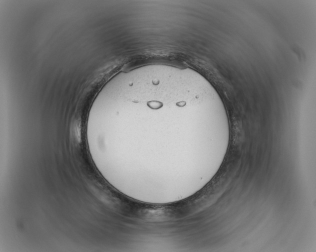 X0000112980068200909241229