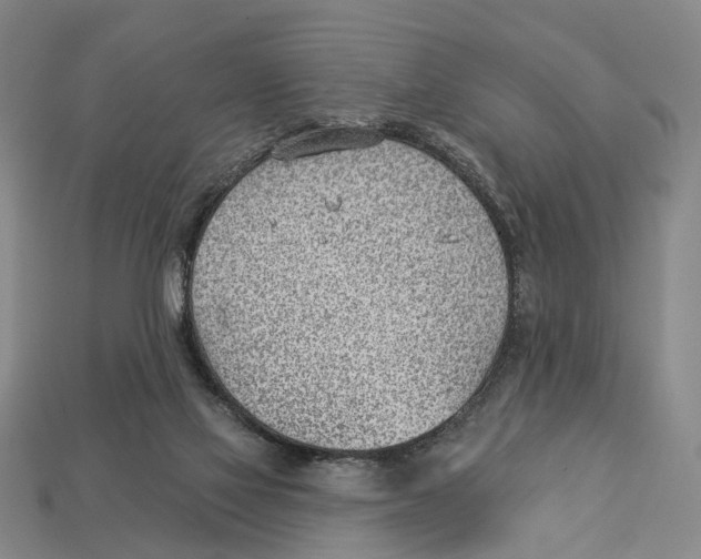X0000112980069200909241229