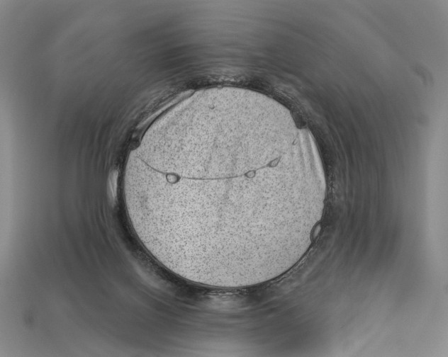 X0000112980070200909241229