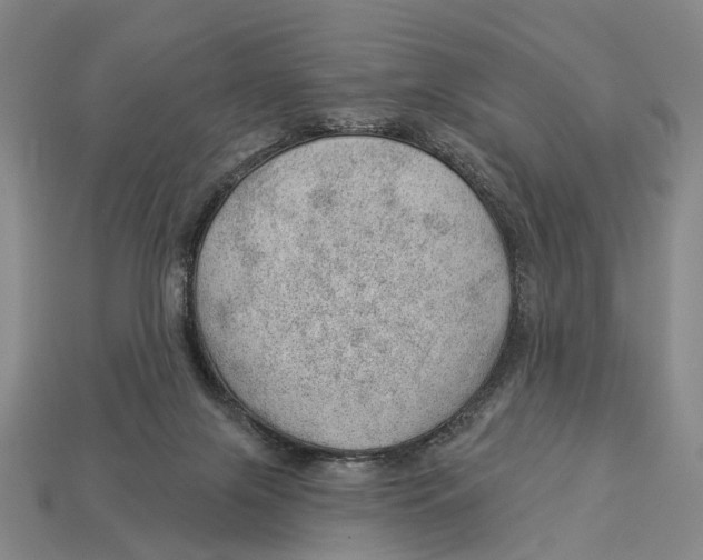 X0000112980071200909241229