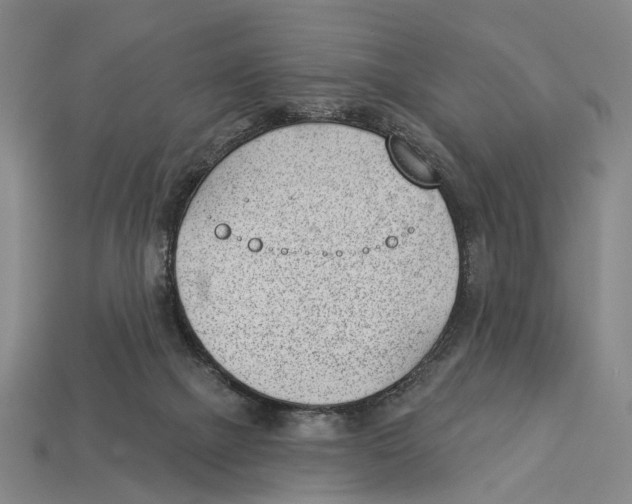 X0000112980073200909241229