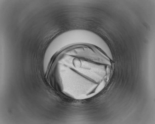 X0000112980076200909241229