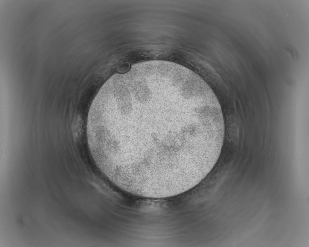 X0000112980077200909241229