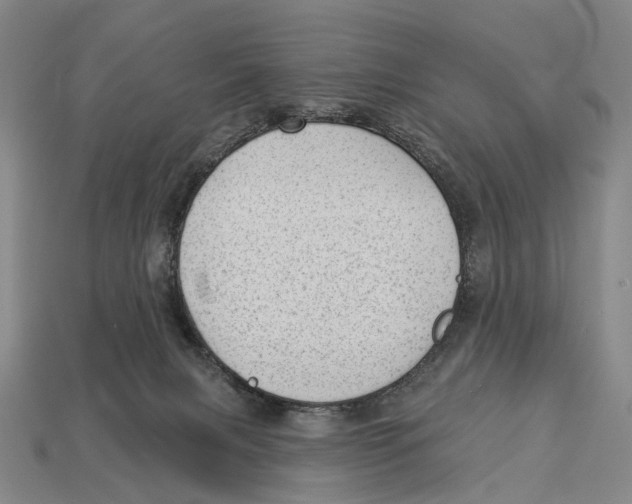 X0000112980079200909241229