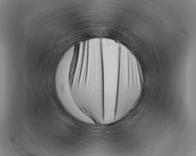 X0000112980080200909241229