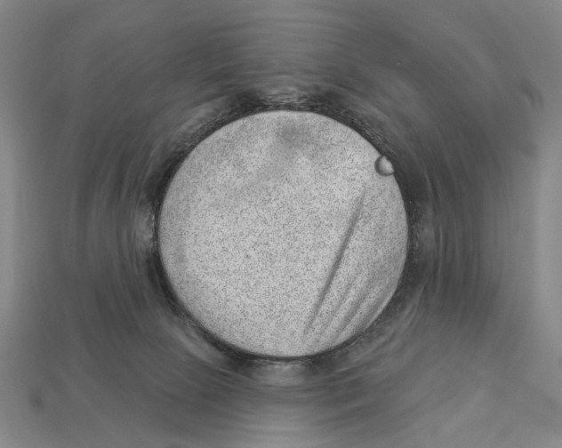 X0000112980081200909241229