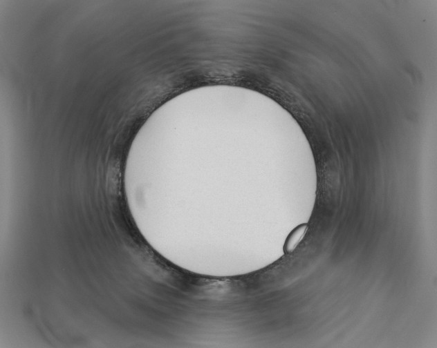 X0000112980083200909241229