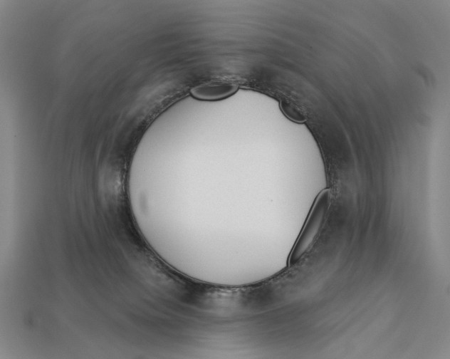 X0000112980084200909241229