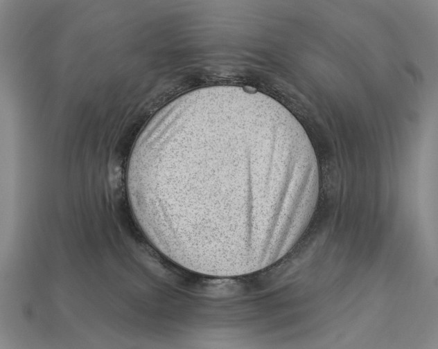 X0000112980087200909241229