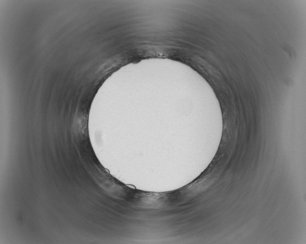 X0000112980096200909241229