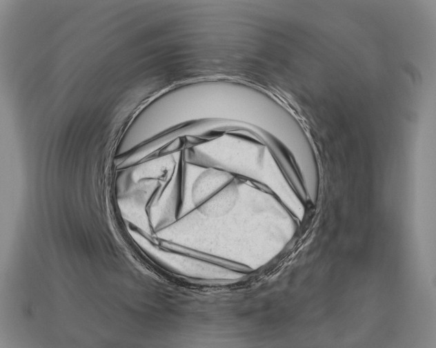 X0000112980097200909241228
