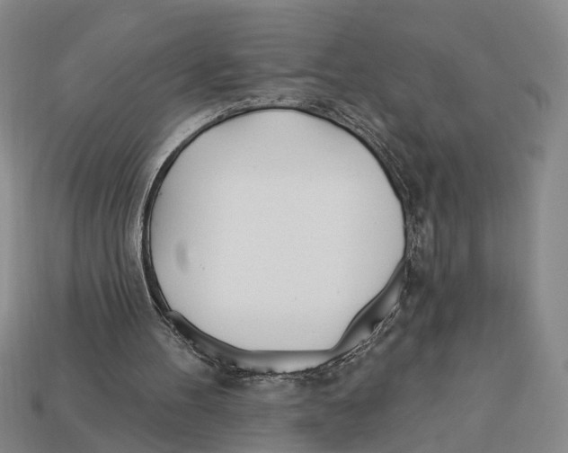 X0000112980100200909241228