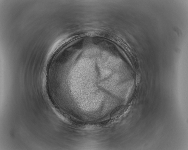 X0000112980101200909241228