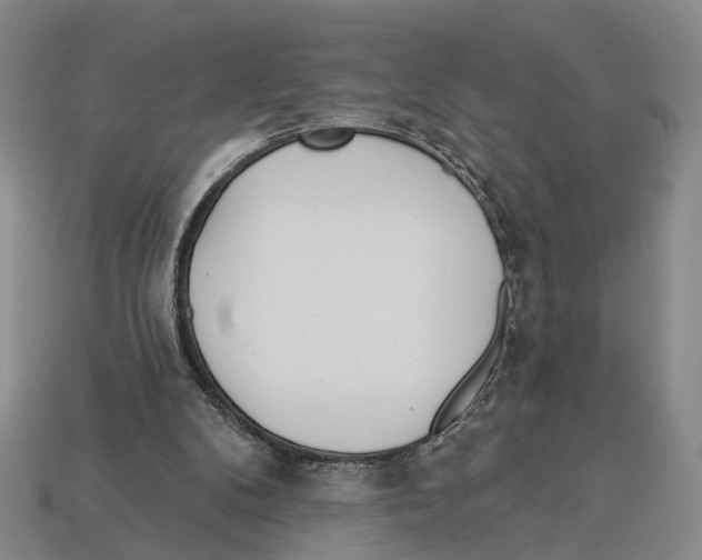 X0000112980104200909241228