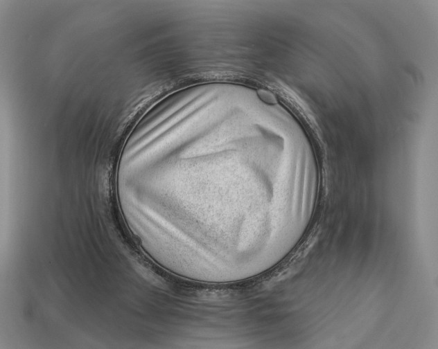X0000112980105200909241228