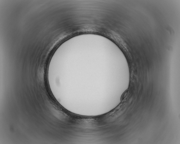 X0000112980108200909241228
