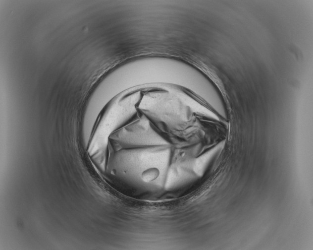 X0000112980109200909241228