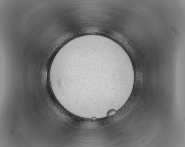 X0000112980110200909241228