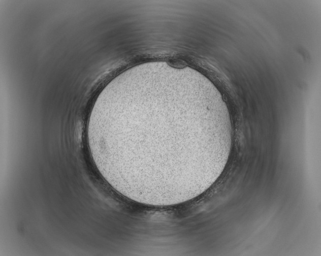 X0000112980115200909241228