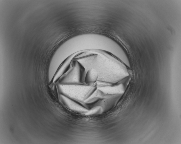 X0000112980117200909241228