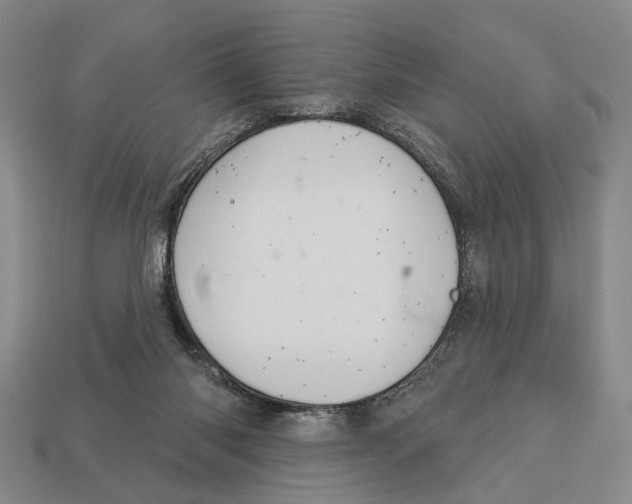 X0000112980118200909241228