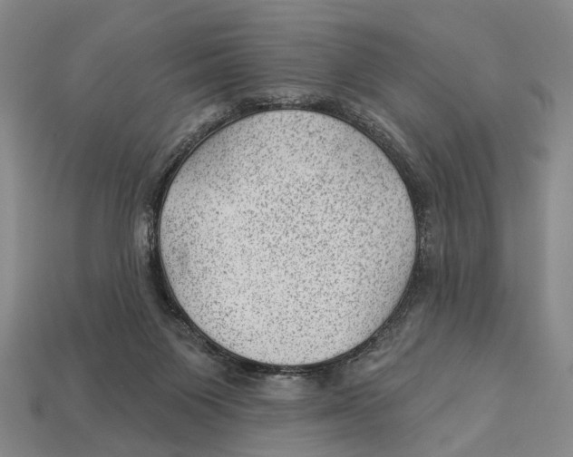 X0000112980119200909241228