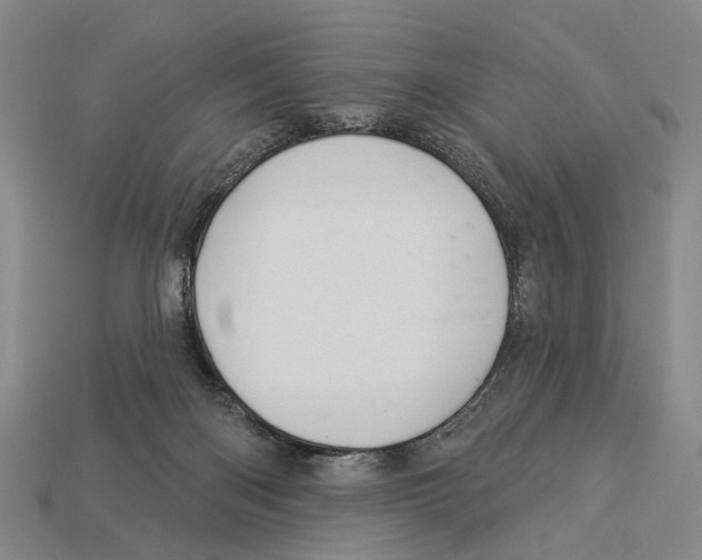 X0000112980122200909241228