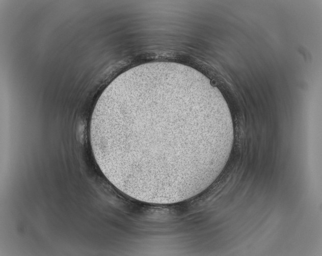 X0000112980123200909241228