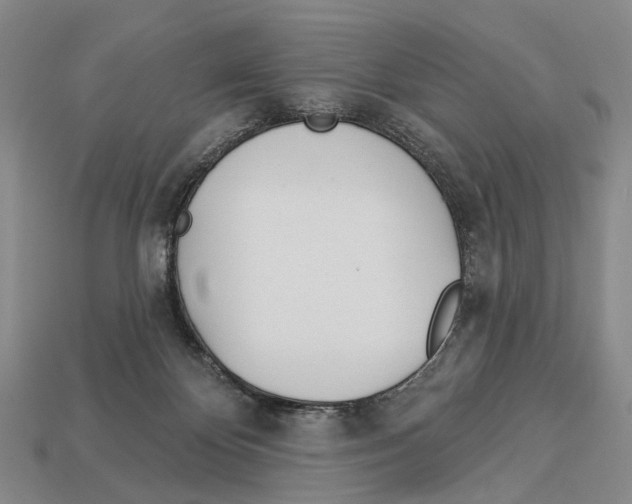 X0000112980124200909241228