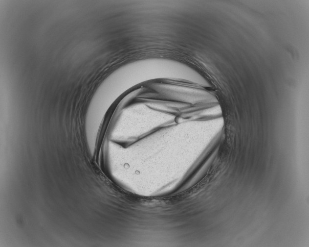 X0000112980125200909241228