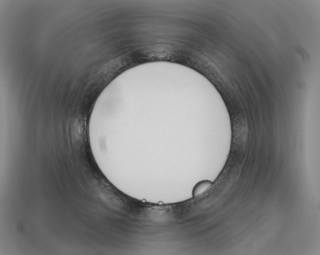 X0000112980126200909241228