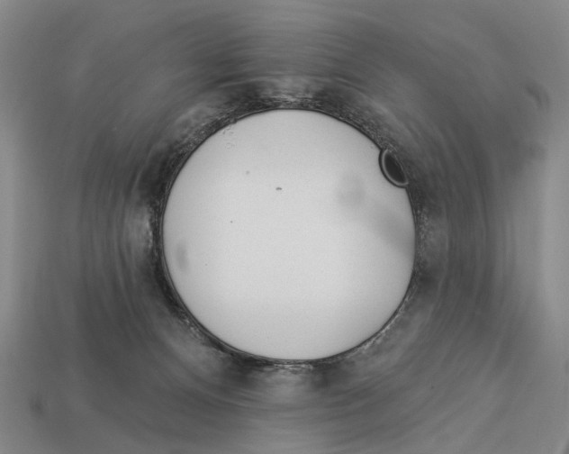 X0000112980128200909241228