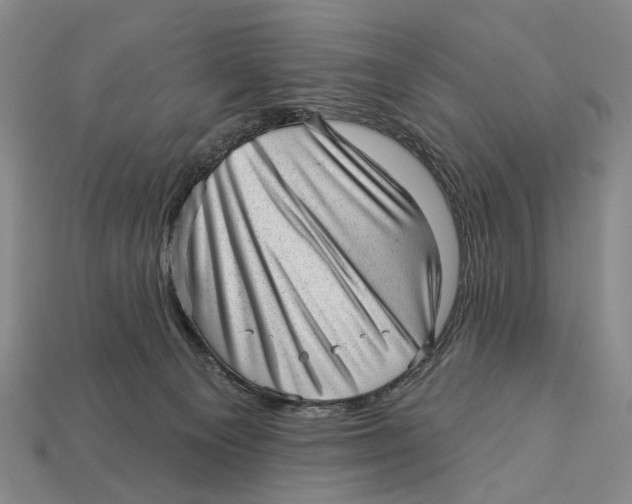 X0000112980129200909241228