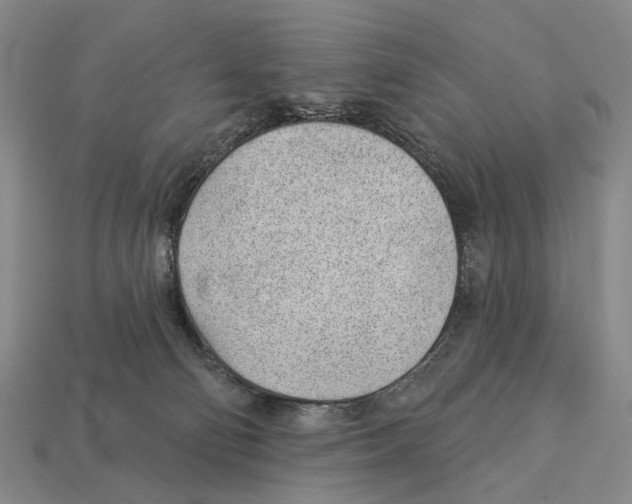 X0000112980130200909241228