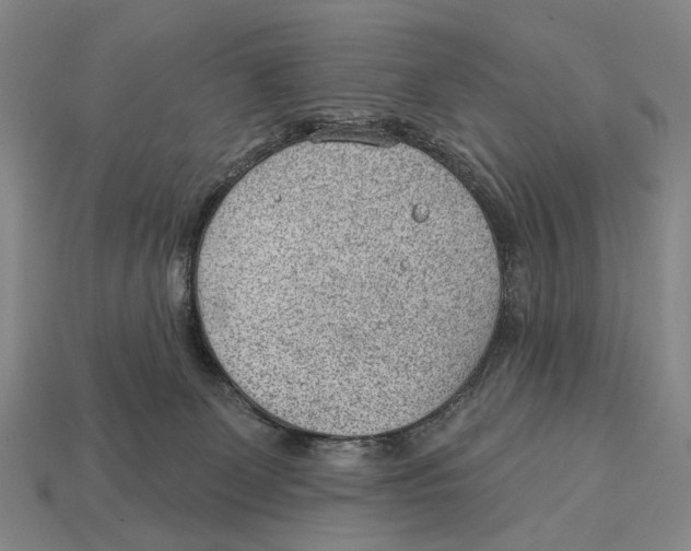 X0000112980131200909241228