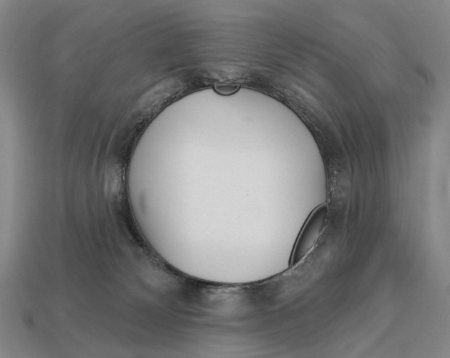 X0000112980132200909241228