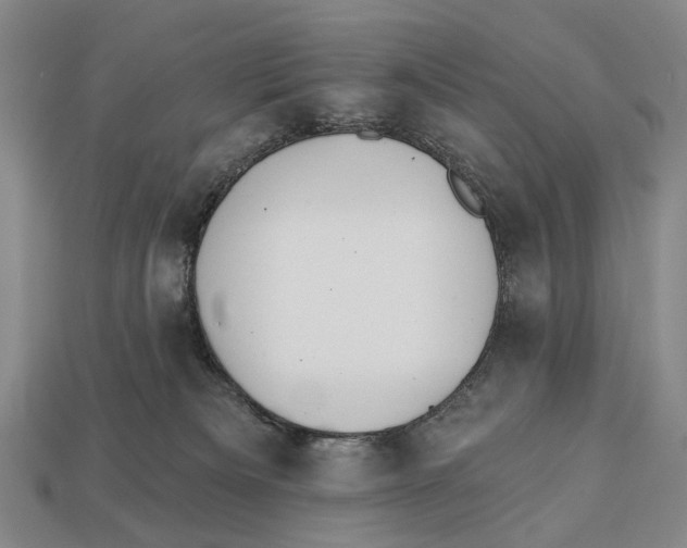 X0000112980133200909241228