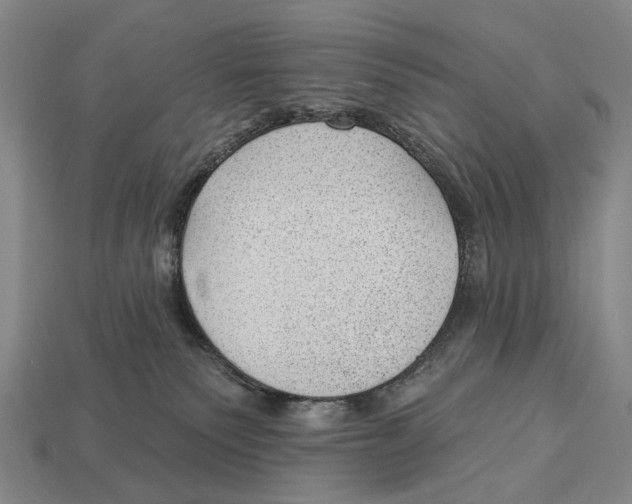 X0000112980135200909241228