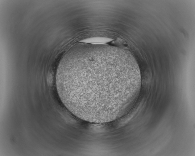 X0000112980139200909241228