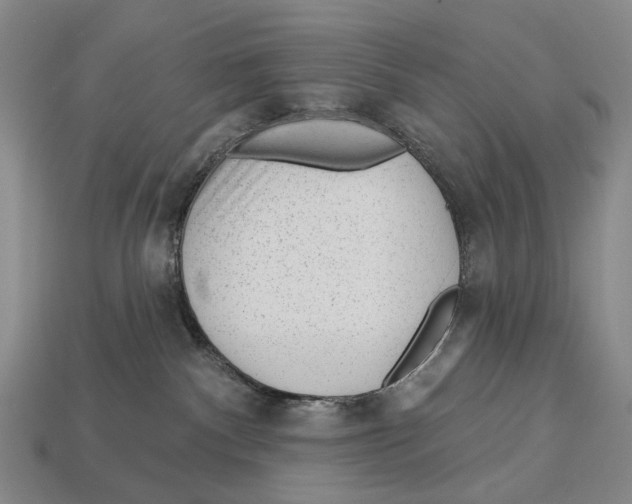 X0000112980140200909241228