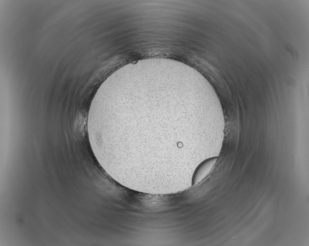 X0000112980142200909241228