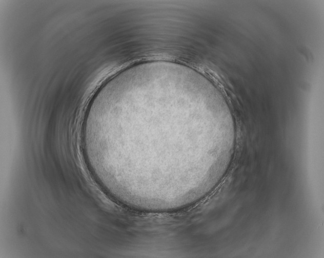 X0000112980145200909241227