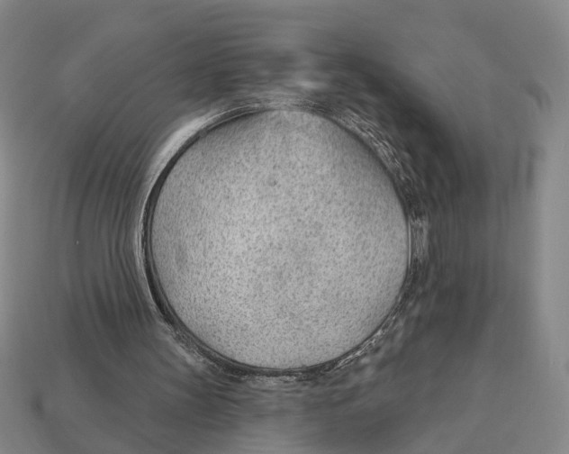 X0000112980147200909241227