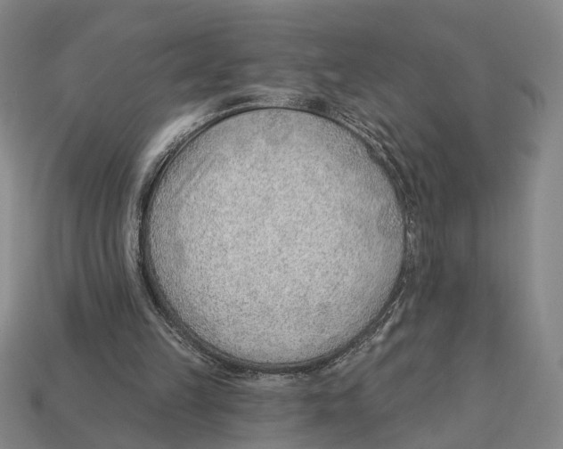 X0000112980149200909241227