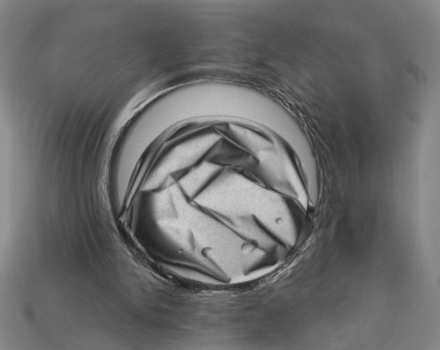 X0000112980150200909241227