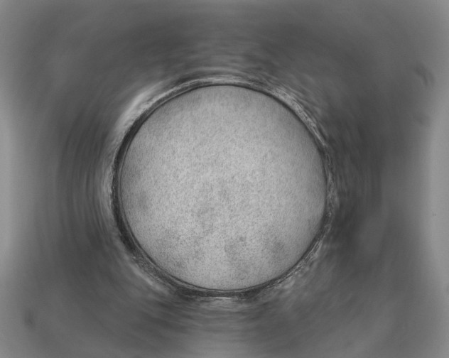 X0000112980151200909241227