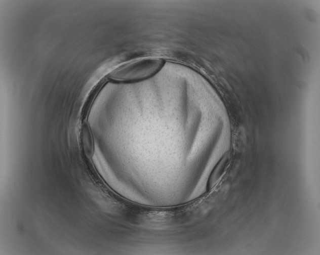 X0000112980152200909241227