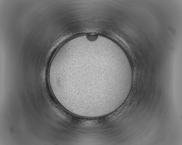 X0000112980155200909241227