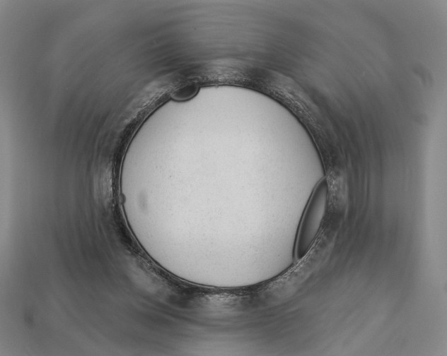 X0000112980158200909241227