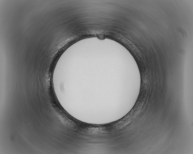 X0000112980160200909241227